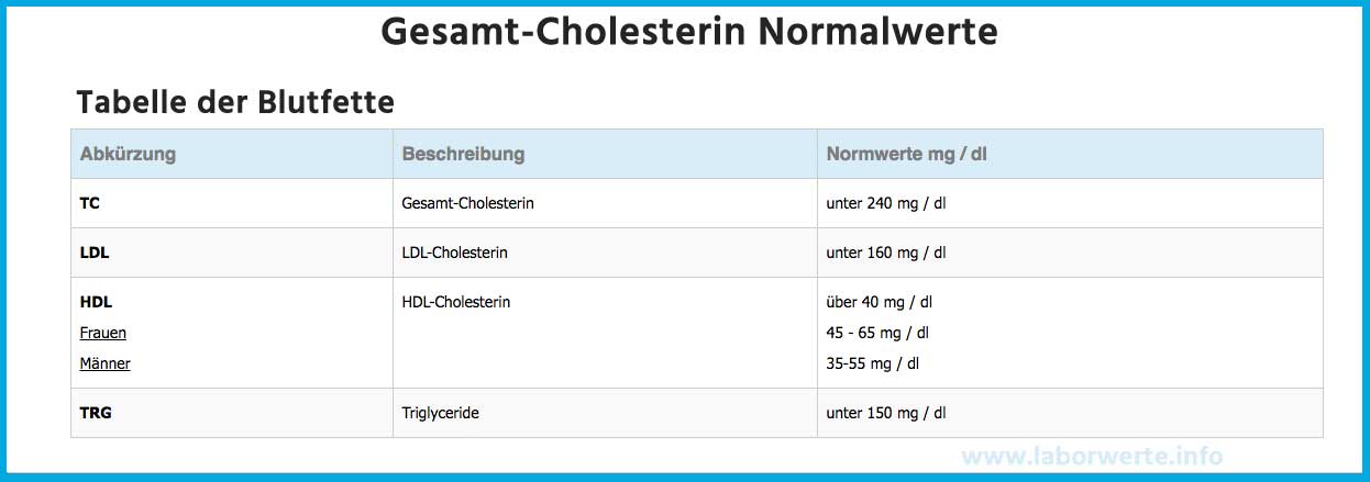 Gesamt-Cholesterin Normalwerte