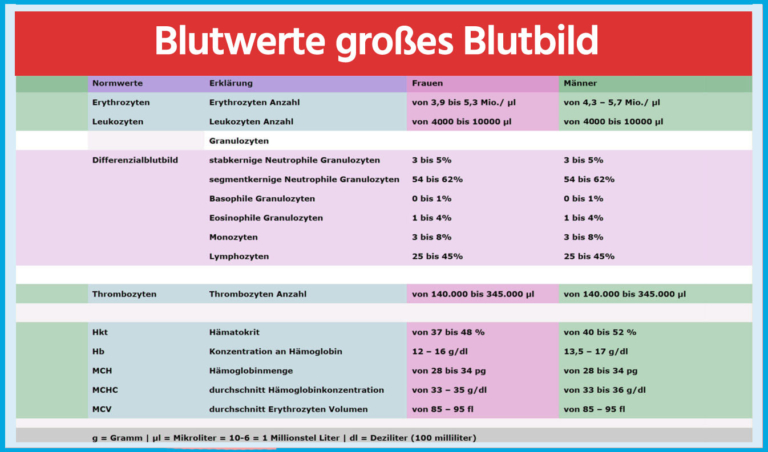 Hiv Welche Blutwerte Sind Erhöht ᐅ Was ist ein Blutbild? Erklärung, alle Werte und Bedeutungen