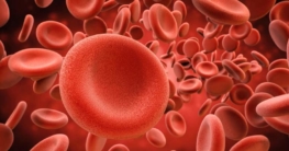 Erythrozyten rote Blutkörperchen