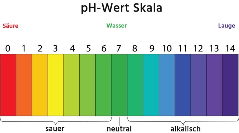 Wie Lange Dauert Es Bis Ph Plus Wirkt ᐅ pH-Wert des Blutes - zuständig für Säure-Basen-Haushalt